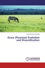 Grass (Poaceae) Evolution and Diversification