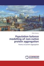 Population balance modelling of non-native protein aggregation