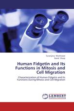 Human Fidgetin and Its Functions in Mitosis and Cell Migration