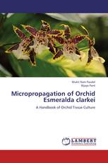 Micropropagation of Orchid Esmeralda clarkei