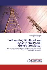 Addressing Biodiesel and Biogas in the Power Generation Sector