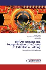 Self Assessment and Reorganization of a Group to Establish a Holding