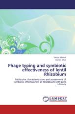 Phage typing and symbiotic effectiveness of lentil Rhizobium