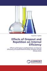 Effects of Dropout and Repetition on Internal Efficiency