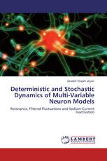 Deterministic and Stochastic Dynamics of Multi-Variable Neuron Models