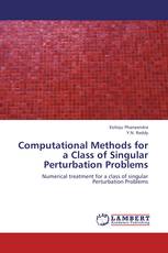 Computational Methods for a Class of Singular Perturbation Problems