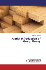 A Brief Introduction of Group Theory