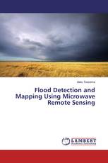 Flood Detection and Mapping Using Microwave Remote Sensing