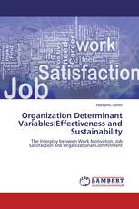 Organization Determinant Variables:Effectiveness and Sustainability
