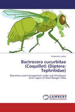Bactrocera cucurbitae (Coquillet) (Diptera: Tephritidae)