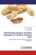 Maximizing peanut (Arachis hypogaea L) yield in tropical soils