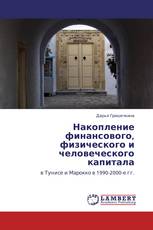 Накопление финансового, физического и человеческого капитала