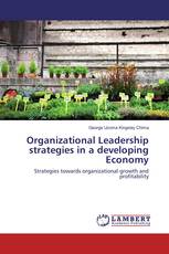 Organizational Leadership strategies in a developing Economy
