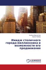 Имидж столичного города-миллионника и возможности его продвижения