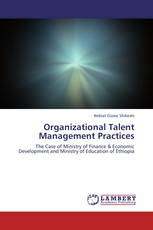 Organizational Talent Management Practices