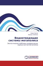 Водоотводящие системы мегаполиса