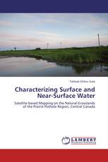 Characterizing Surface and Near-Surface Water