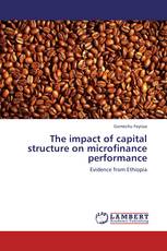 The impact of capital structure on microfinance performance