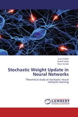 Stochastic Weight Update in Neural Networks