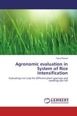 Agronomic evaluation in System of Rice Intensification