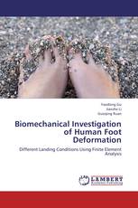 Biomechanical Investigation of Human Foot Deformation