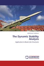 The Dynamic Stability Analysis