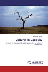 Vultures in Captivity