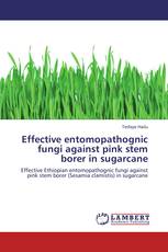 Effective entomopathognic fungi against pink stem borer in sugarcane