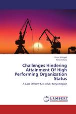 Challenges Hindering Attainment Of High Performing Organization Status