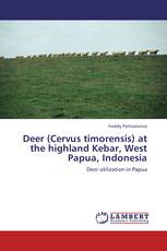 Deer (Cervus timorensis) at the highland Kebar, West Papua, Indonesia