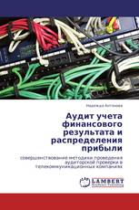 Аудит учета финансового результата и распределения прибыли