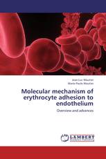 Molecular mechanism of erythrocyte adhesion to endothelium