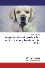 External skeletal fixation for radius fracture treatment in dogs