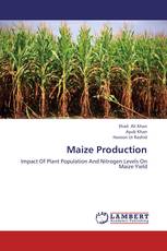 Maize Production