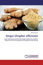 Ginger (Zingiber officinale)