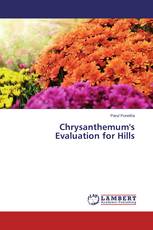 Chrysanthemum's Evaluation for Hills
