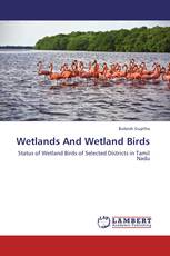 Wetlands And Wetland Birds