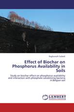Effect of Biochar on Phosphorus Availability in Soils