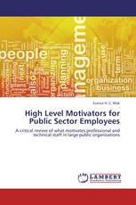 High Level Motivators for Public Sector Employees