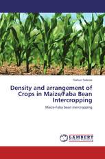 Density and arrangement of Crops in Maize/Faba Bean Intercropping