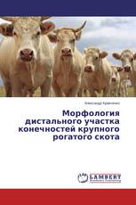 Морфология дистального участка конечностей крупного рогатого скота