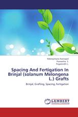 Spacing And Fertigation In Brinjal (solanum Melongena L.) Grafts