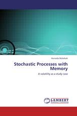 Stochastic Processes with Memory