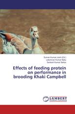 Effects of feeding protein on performance in brooding Khaki Campbell