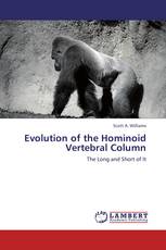 Evolution of the Hominoid Vertebral Column