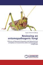 Reviewing on entomopathogenic fungi