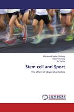 Stem cell and Sport