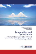 Formulation and Optimization