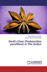 Devil's Claw (Proboscidea parviflora) in The Sudan