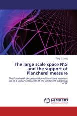 The large scale space N\G and the support of Plancherel measure